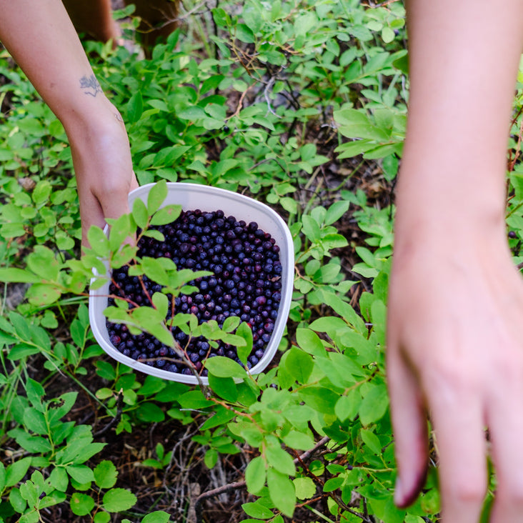 Eating Clean and What That Really Means