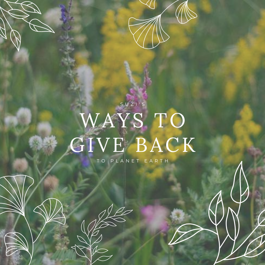 Ways to give back to our planet on Earth Day