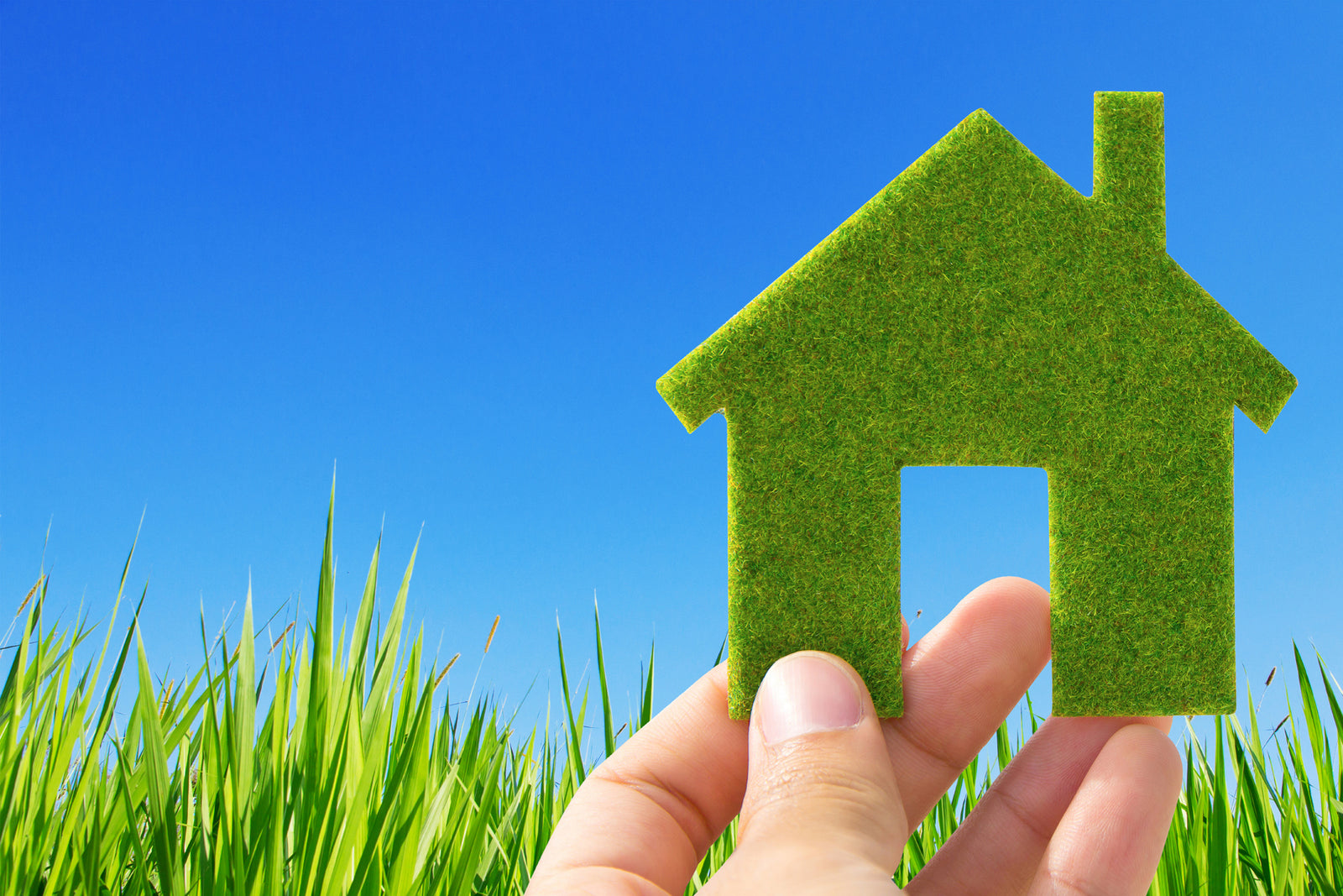 Living Lightly with Green Waste