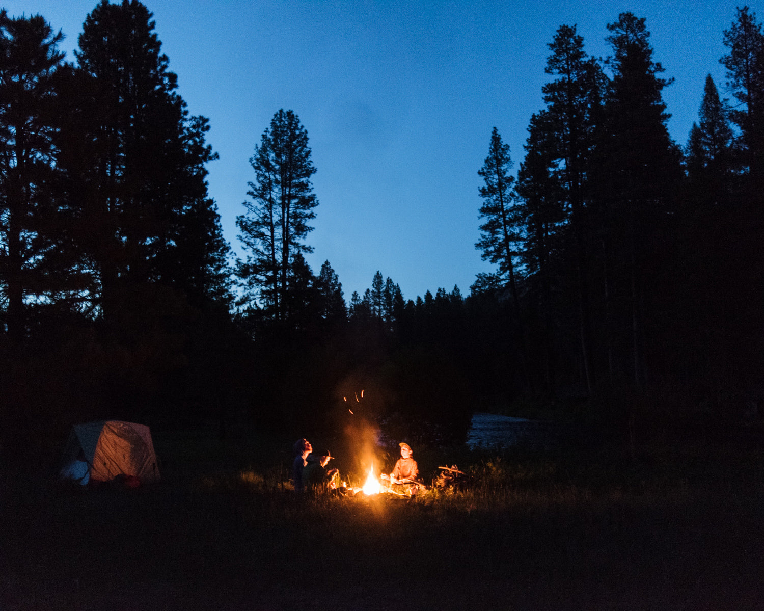 Learn More — Bug Protection for Summer
